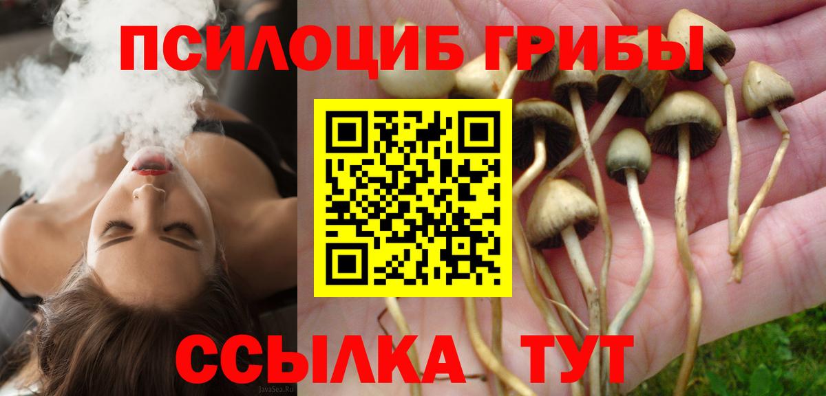 Галлюциногенные грибы Psilocybine cubensis  Вход с VPN  Псилоцибиновые грибы прущие грибы  Воскресенск 